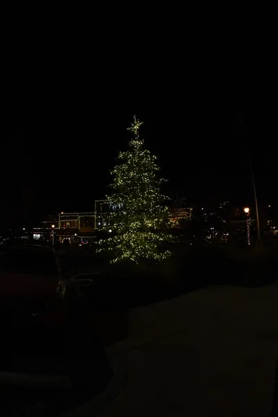 DSC_0015 (Large).JPG